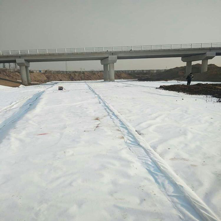 河道复合土工膜